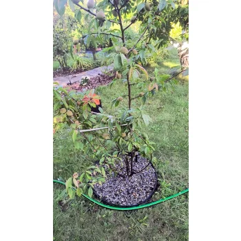 Obrzeże trawnikowe 10m+20 szpilek 60mm